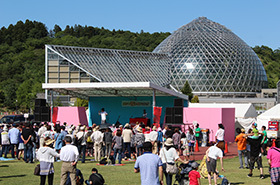 にいつ花ふるフェスタ